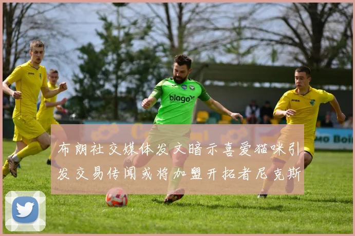 布朗社交媒体发文暗示喜爱猫咪引发交易传闻或将加盟开拓者尼克斯雷霆湖人